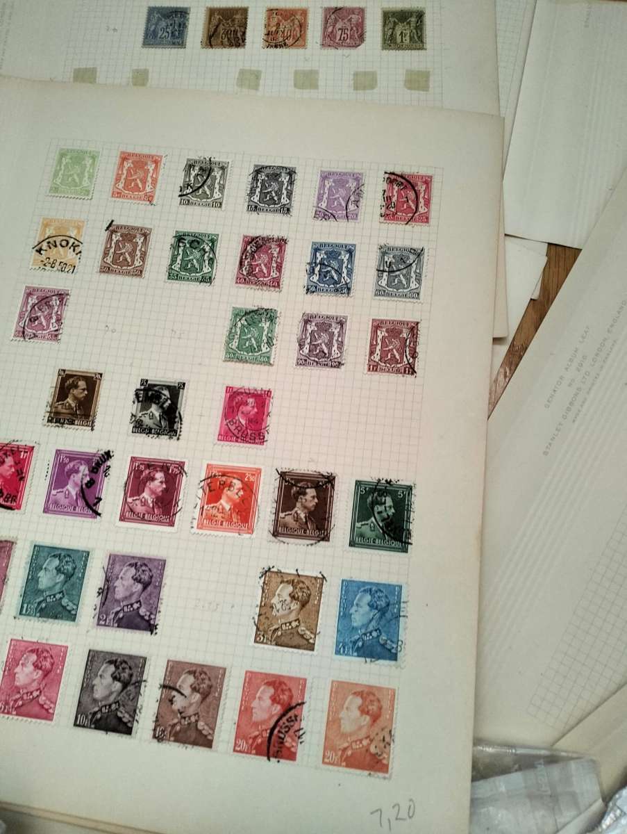 BUMPER WORLD BOX (4,4 KGS)