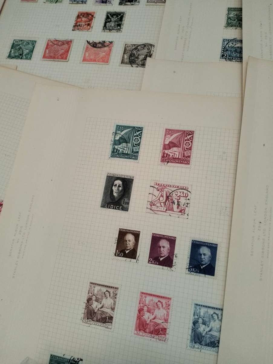 BUMPER WORLD BOX (4,4 KGS)