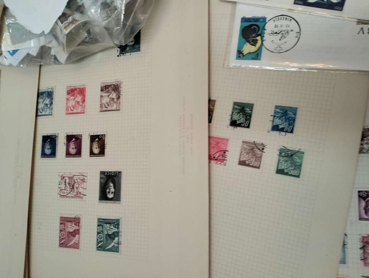 BUMPER WORLD BOX (4,4 KGS)