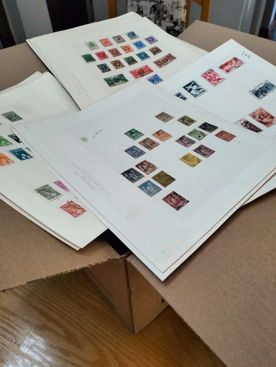 BUMPER WORLD BOX (4,2 KGS)