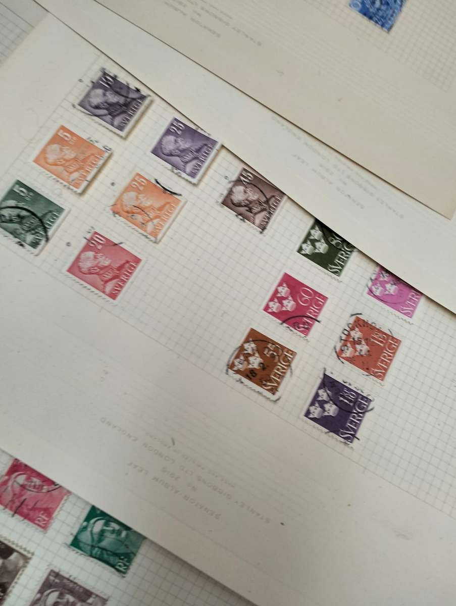 BUMPER WORLD BOX (4,2 KGS)