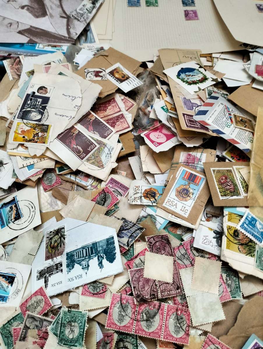 BUMPER WORLD BOX (4,2 KGS)