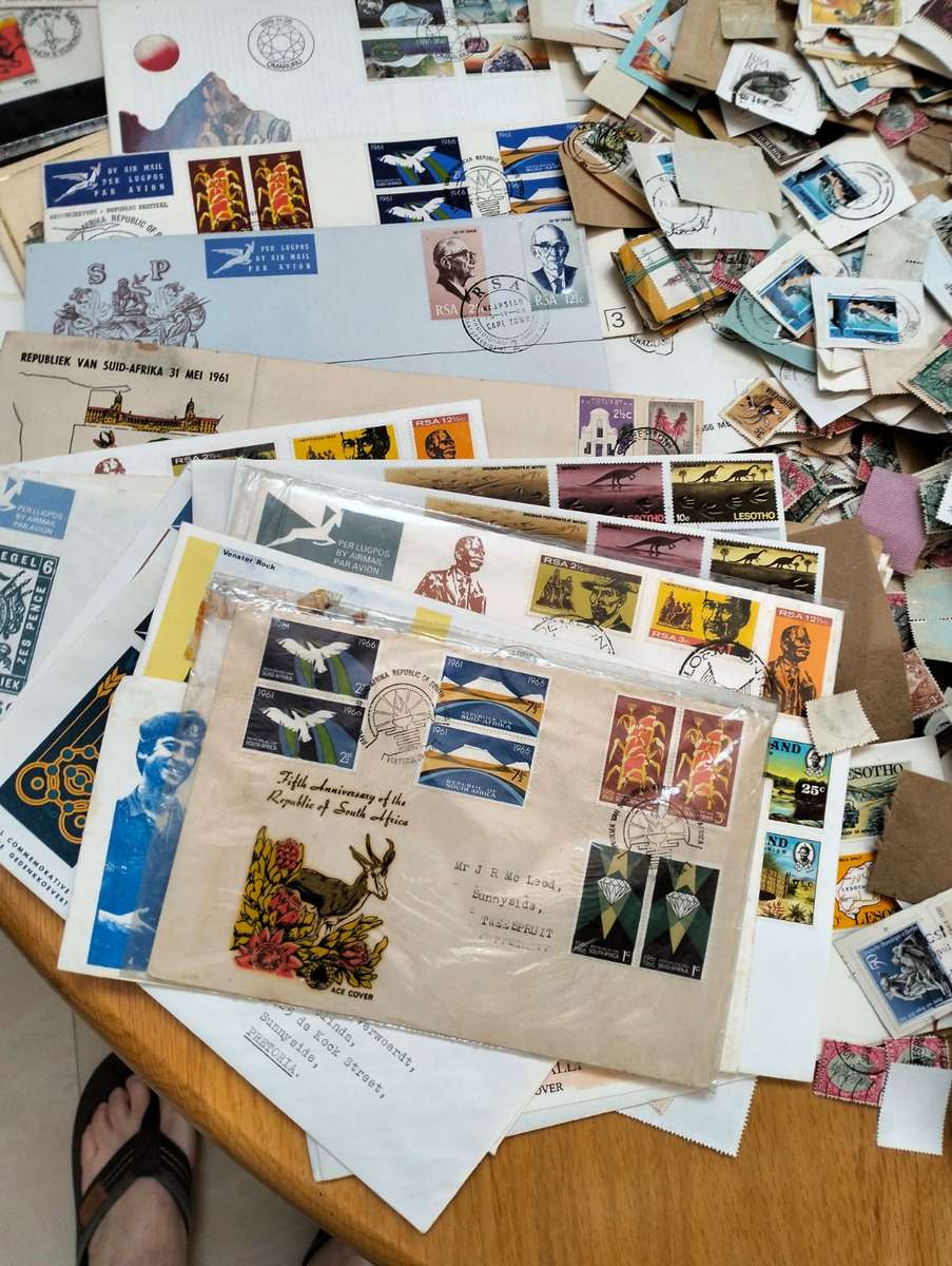 BUMPER WORLD BOX (4,2 KGS)