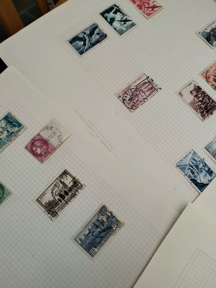 BUMPER WORLD BOX (4,2 KGS)