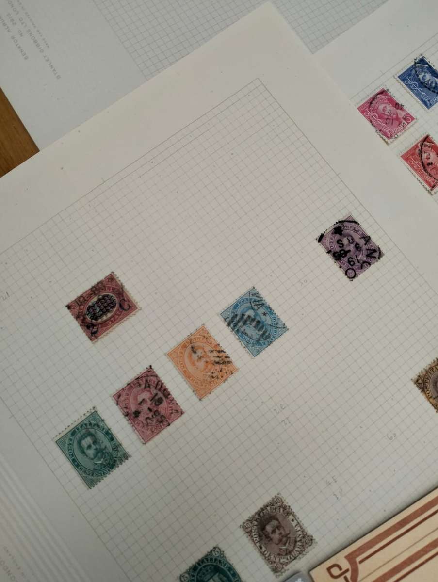 BUMPER WORLD BOX (4,2 KGS)