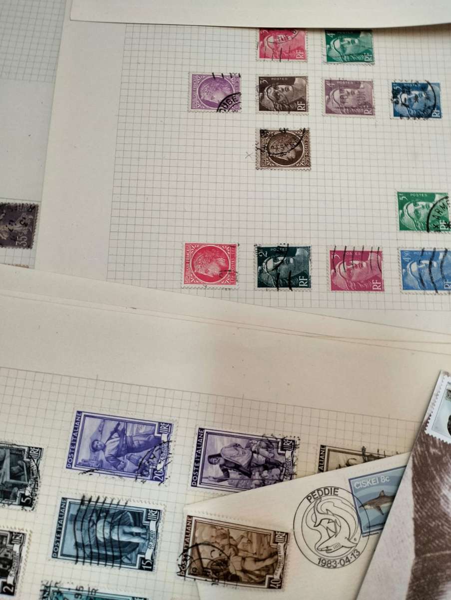 BUMPER WORLD BOX (4,2 KGS)