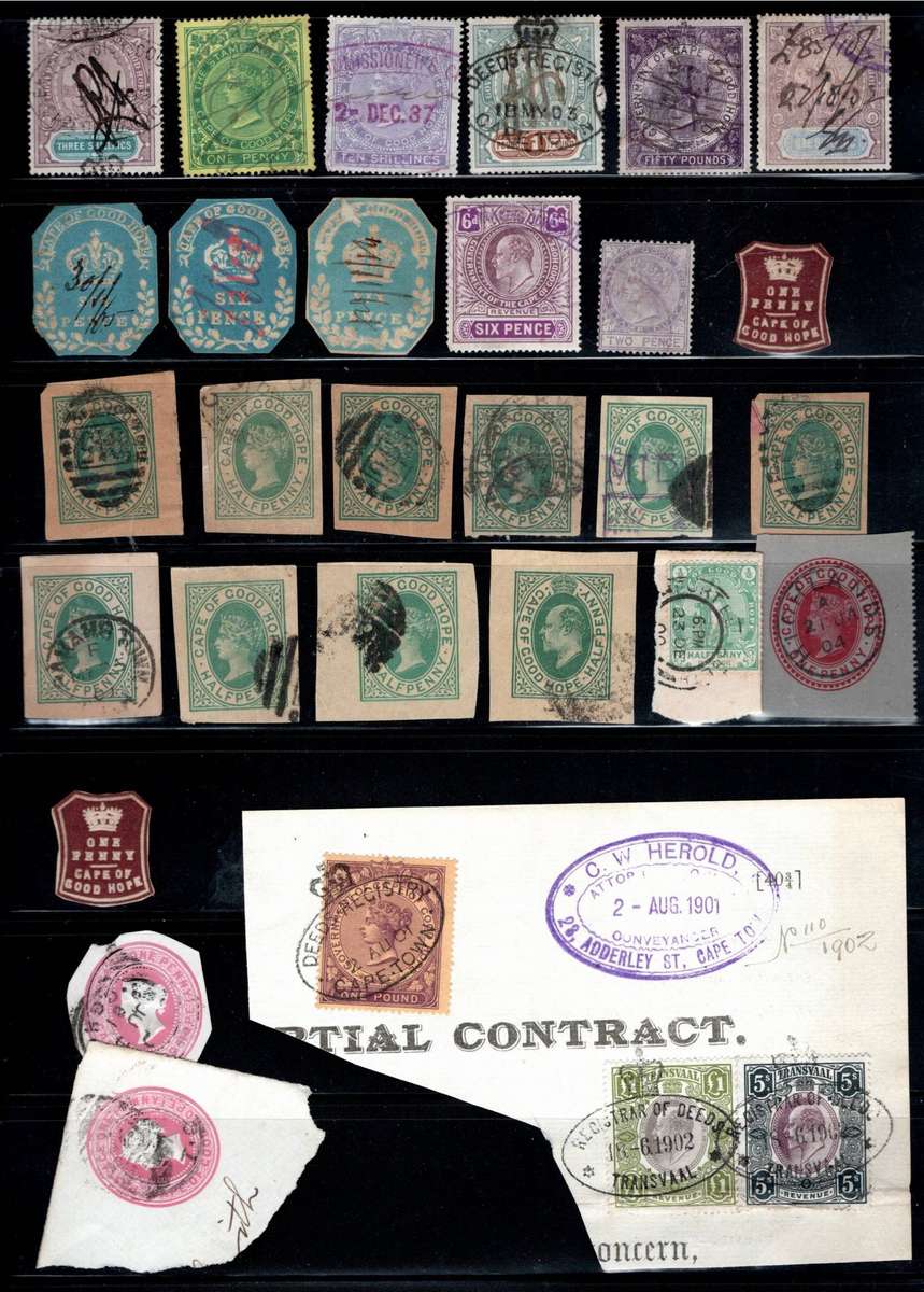CAPE OF GOOD HOPE (Revenues)