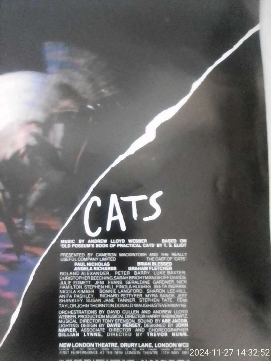 ANDREW LLOYD WEBBER'S SOUVENIR BROCHURES AD PER PHOTOS. ( 1981 CATS / 1982 SONG & DANCE )