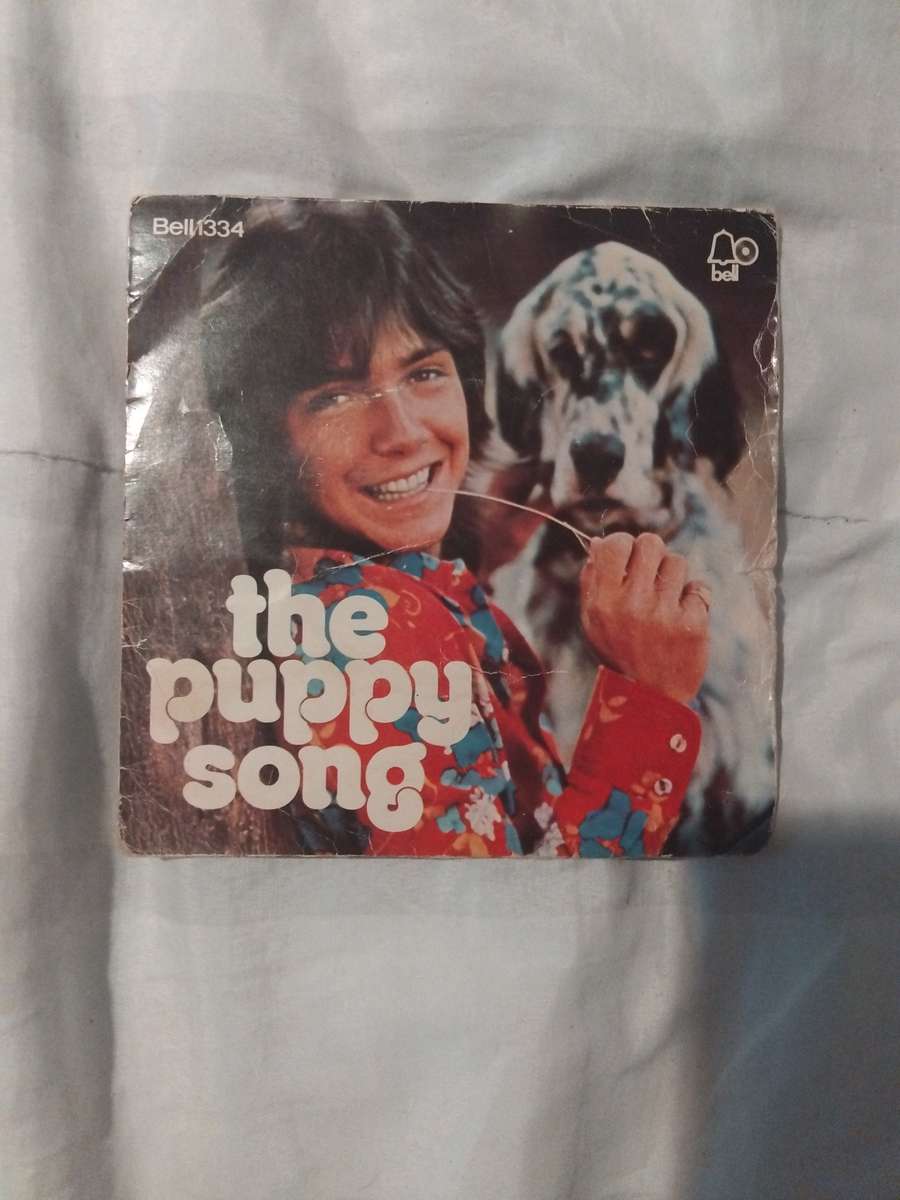 David Cassidy - Seven Single - The Puppy Song / Daydreamer - 1973 (Bell 1334)