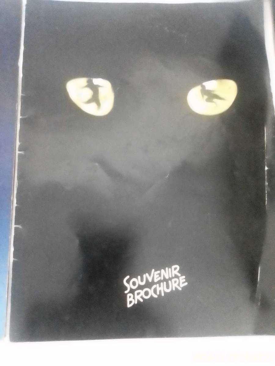 ANDREW LLOYD WEBBER'S SOUVENIR BROCHURES AD PER PHOTOS. ( 1981 CATS / 1982 SONG & DANCE )