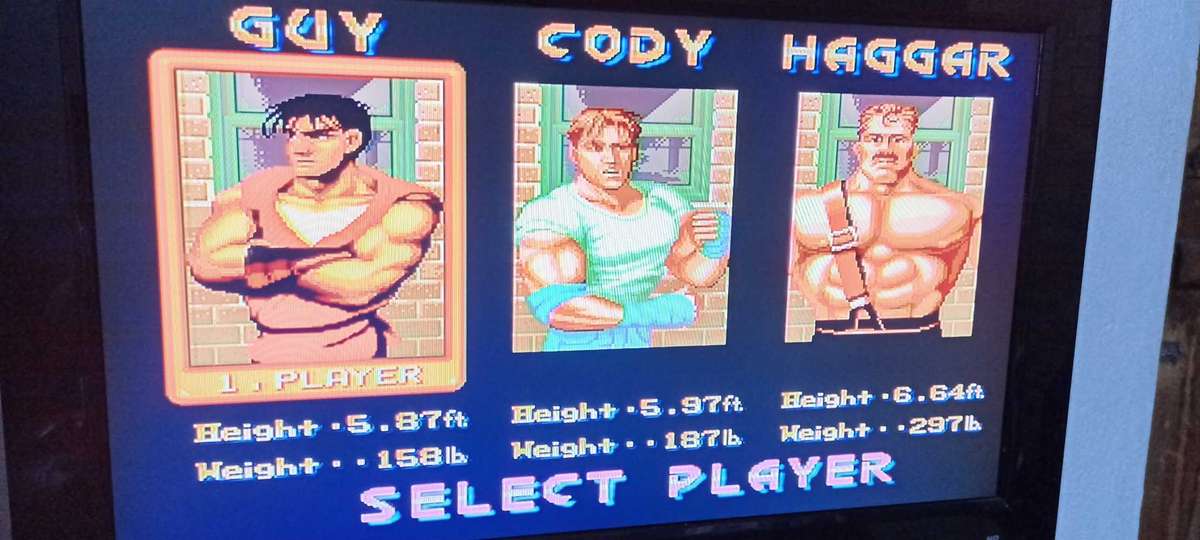 Sega Everdrive for Mega Drive or Genesis