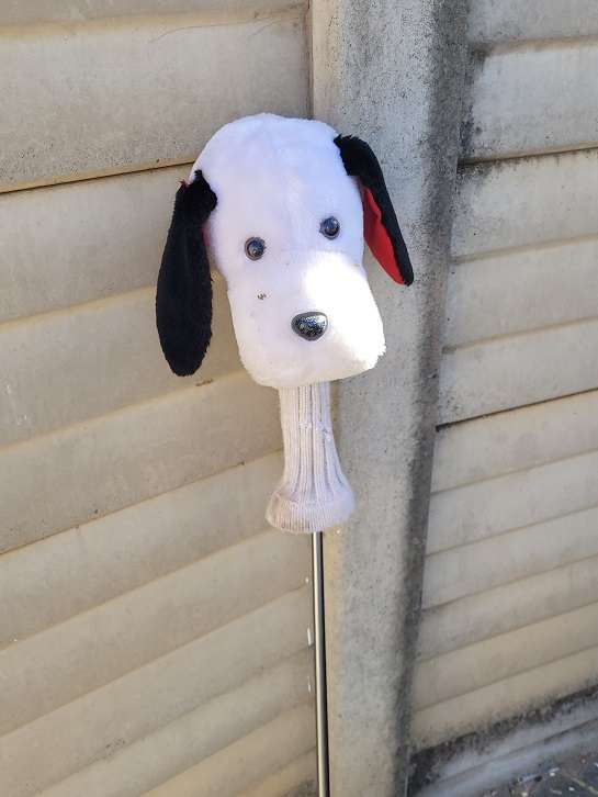 Golfers Bargain ! Quality Titleist Titanium 983 9.5deg driver in good condition !