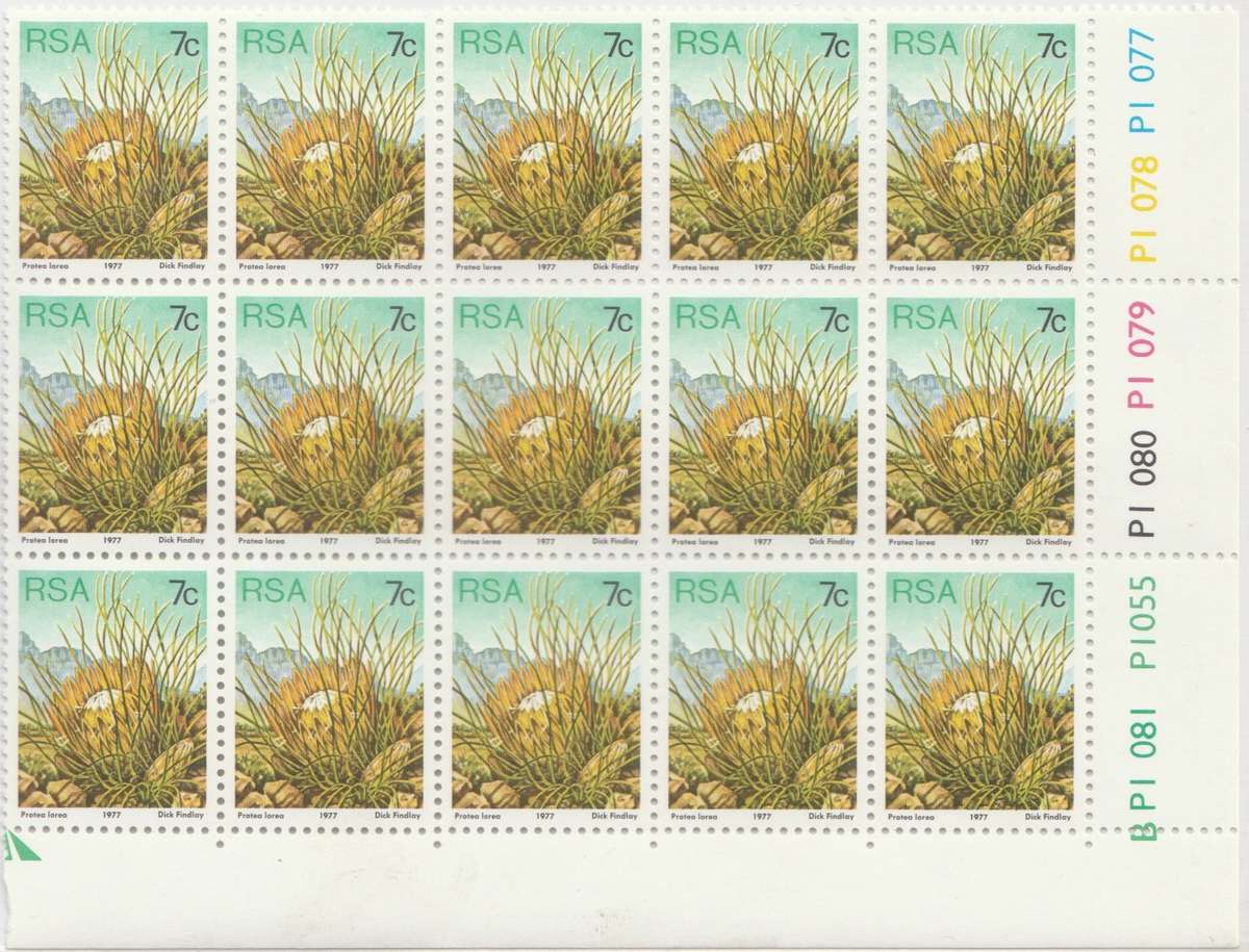 RSA 3rd Definitive Issue SACC 424 x15