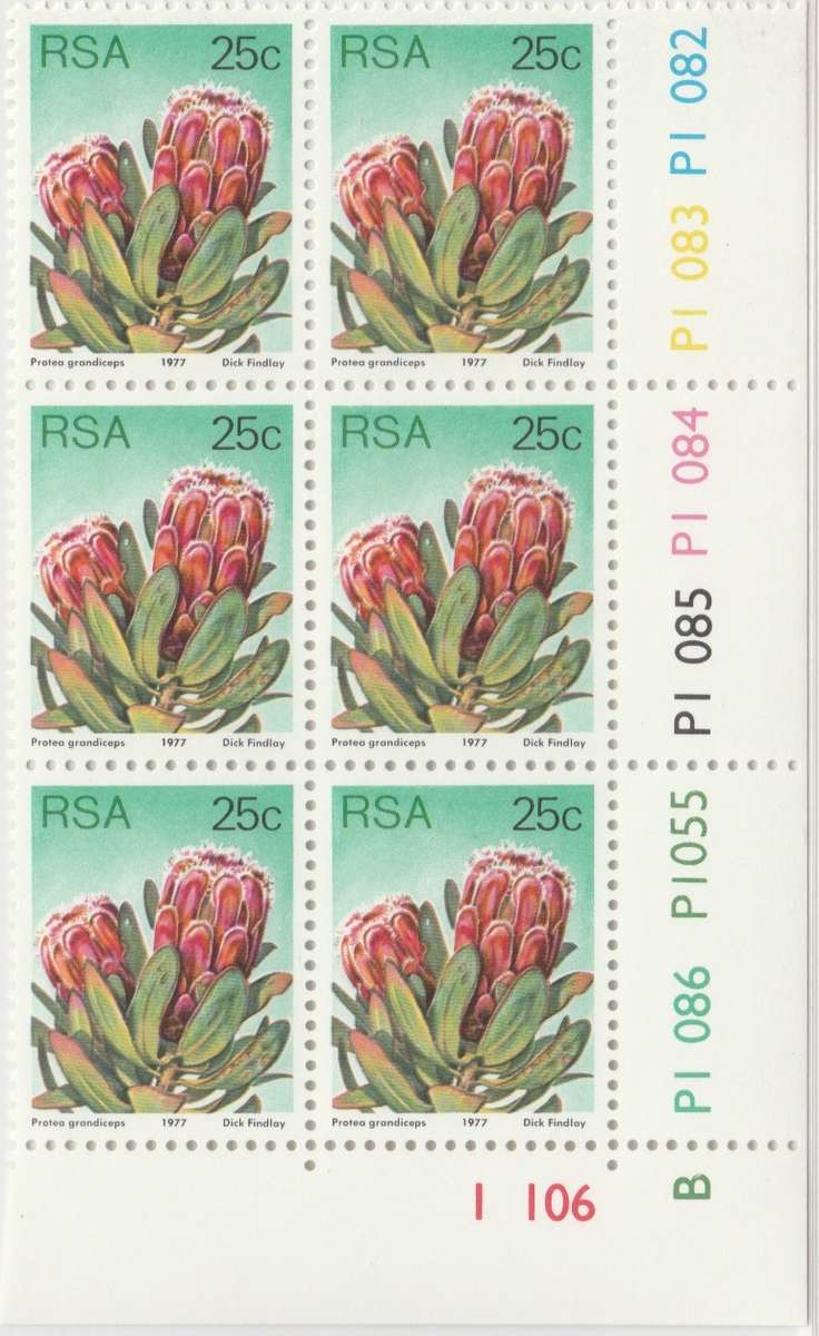 RSA 3rd Definitive Issue SACC 430 x6 B