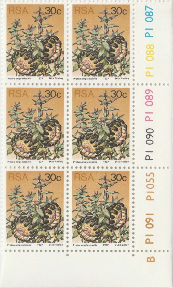 RSA 3rd Definitive Issue SACC 431 x6 B