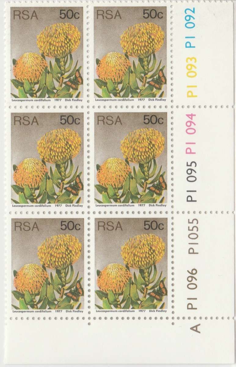RSA 3rd Definitive Issue SACC 432 x6 A