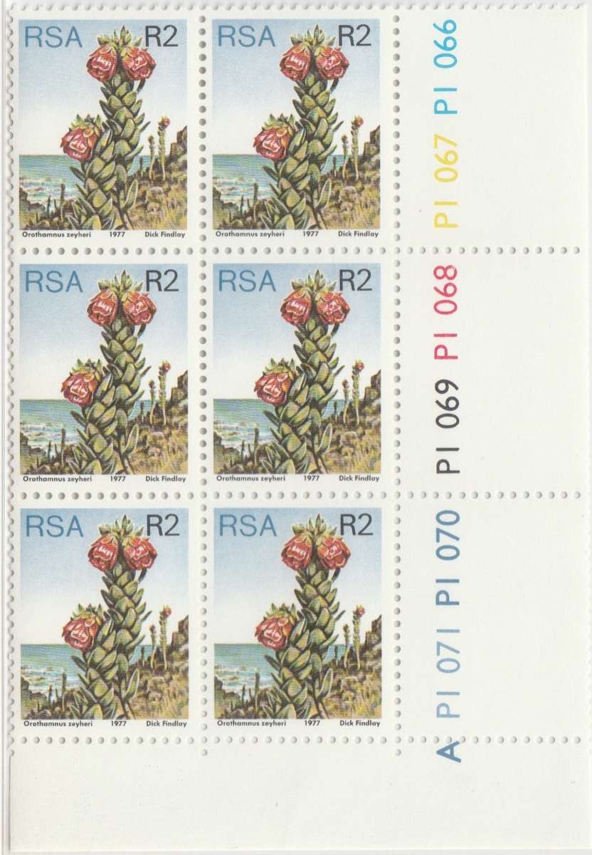 RSA 3rd Definitive Issue SACC 434 x6 A