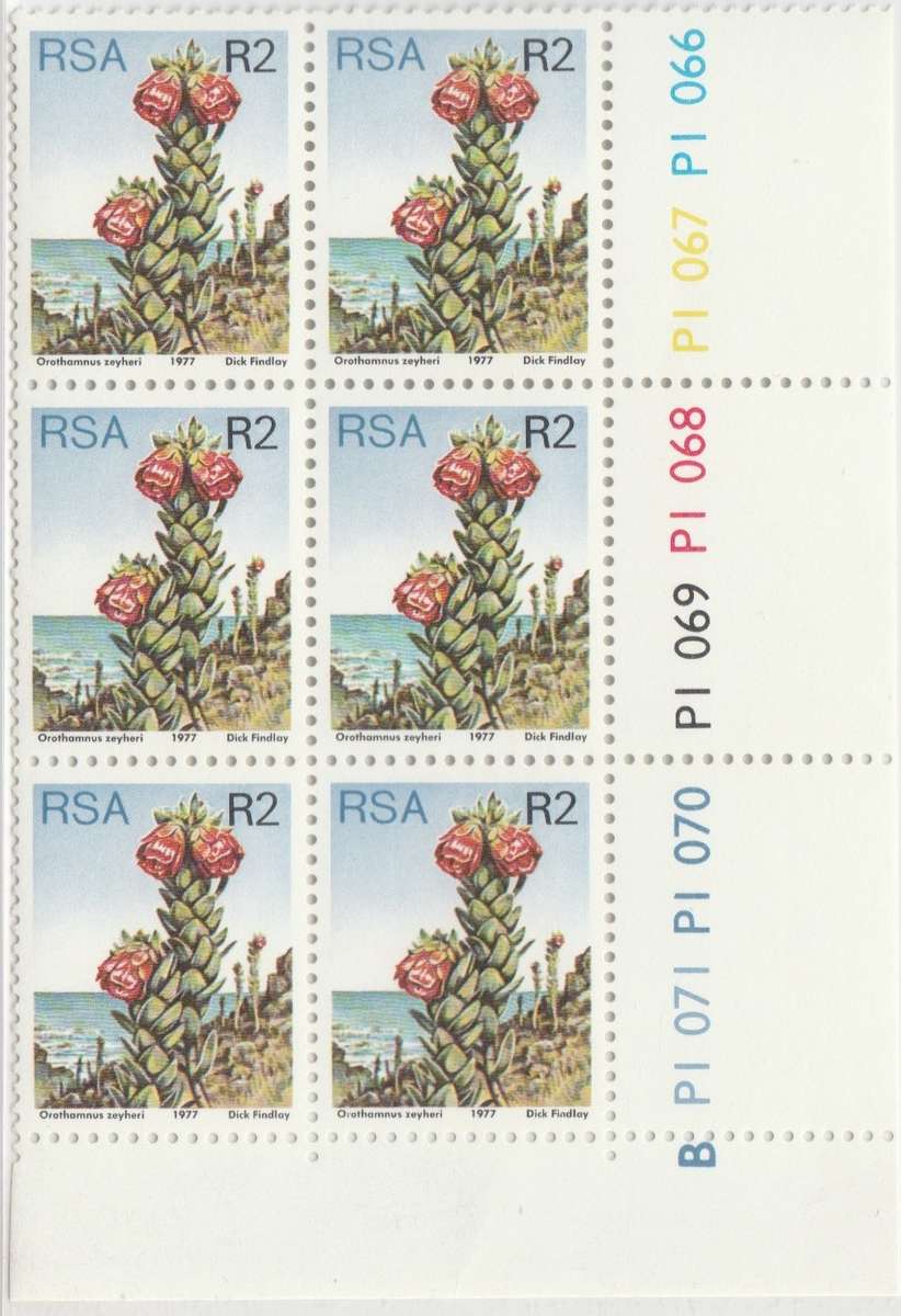 RSA 3rd Definitive Issue SACC 434 x6 B