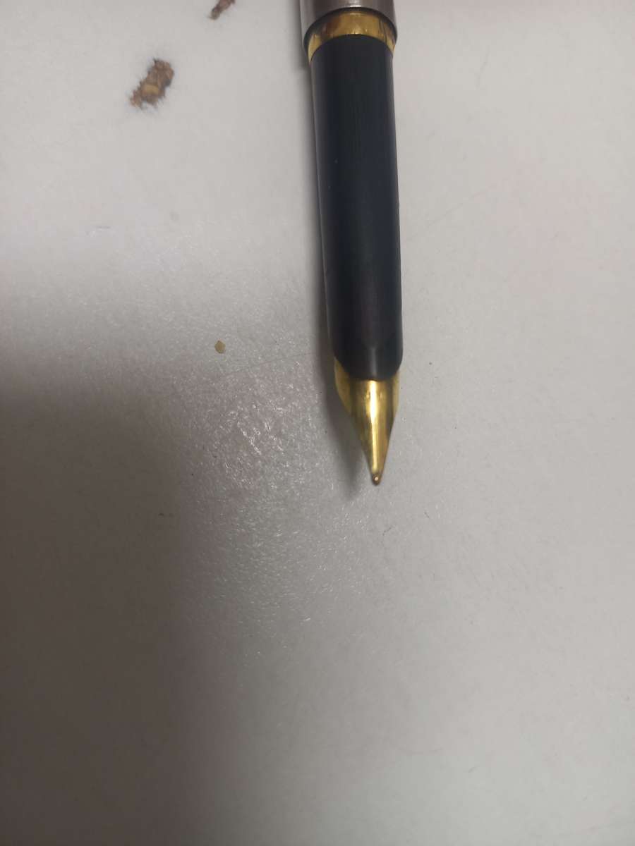 Parker Stainless steel Fountain pen with gold trim