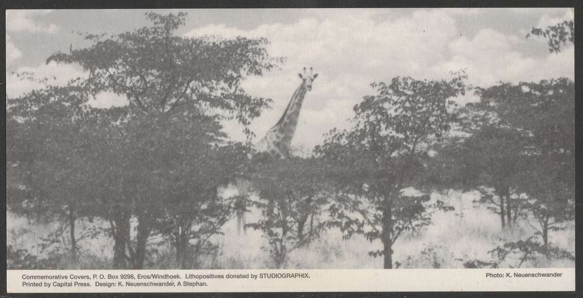 AVIATION 1995 AIR NAMIBIA SIGNED CARD #57 FIRST SCHEDULED FLIGHT SWAKOPMUND TO MOUNT ETJO