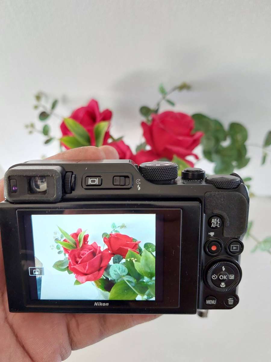 Nikon CoolPix digital camera A1000 Wi-Fi / Bluetooth (RAW, 4K, 35 x optical zoom etc)