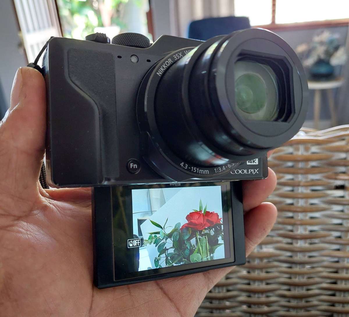 Nikon CoolPix digital camera A1000 Wi-Fi / Bluetooth (RAW, 4K, 35 x optical zoom etc)