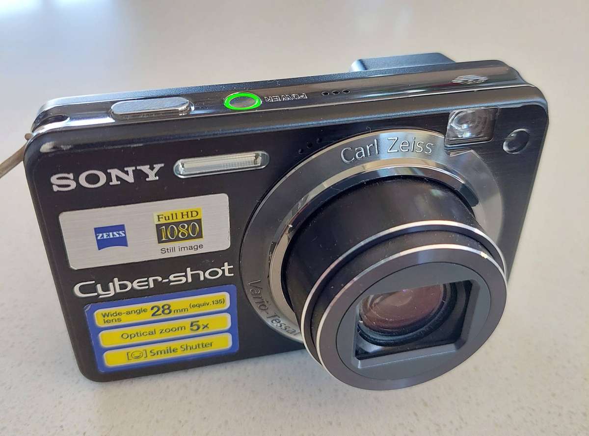 Sony Cybershot digital camera DSC-W170 (10.1 m/pixel, 5 x optical zoom, video recording)