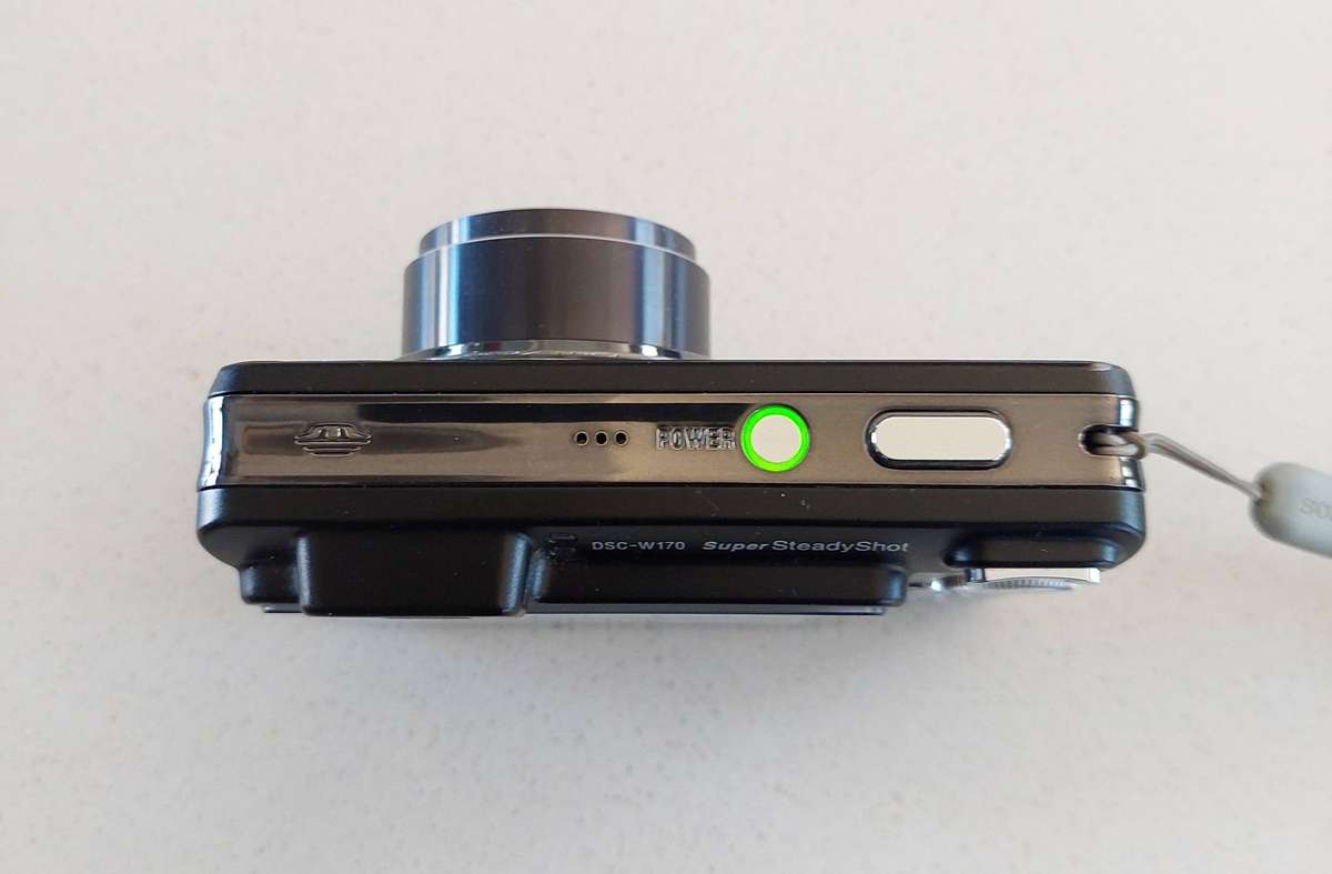 Sony Cybershot digital camera DSC-W170 (10.1 m/pixel, 5 x optical zoom, video recording)