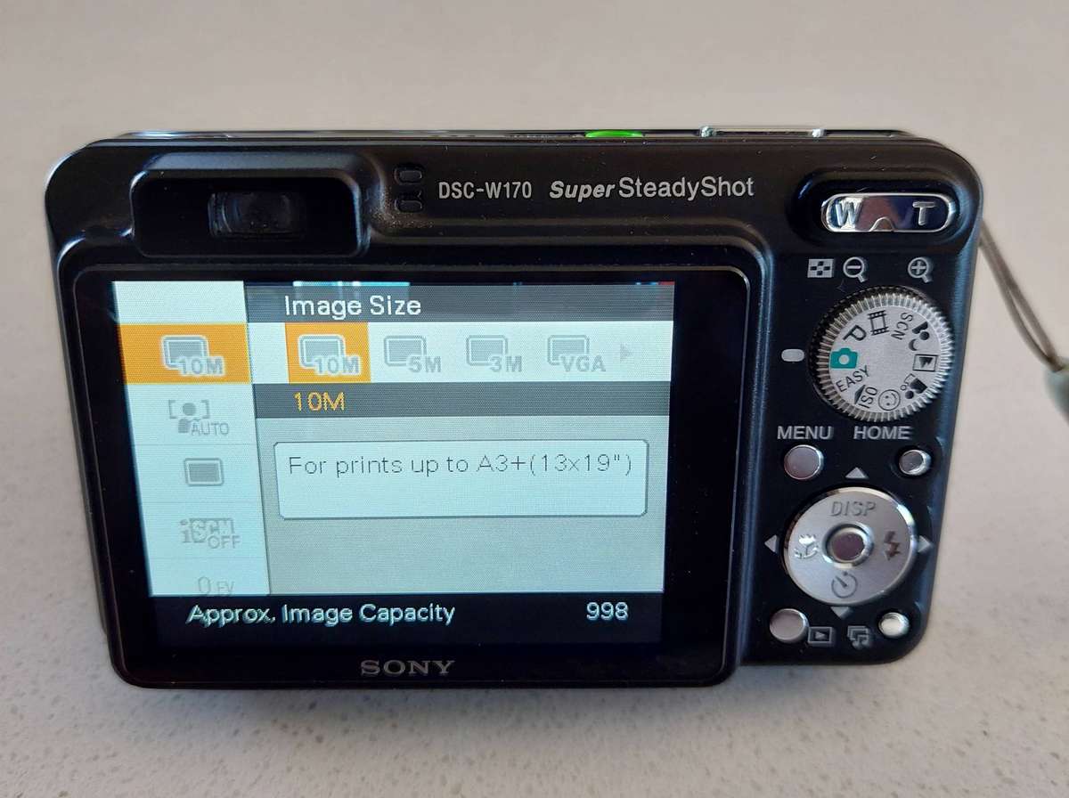 Sony Cybershot digital camera DSC-W170 (10.1 m/pixel, 5 x optical zoom, video recording)