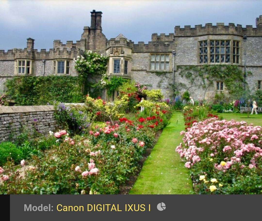 Canon "digital IXUS I" camera (4.0 m/pixel, 1 × optical zoom, video recording)