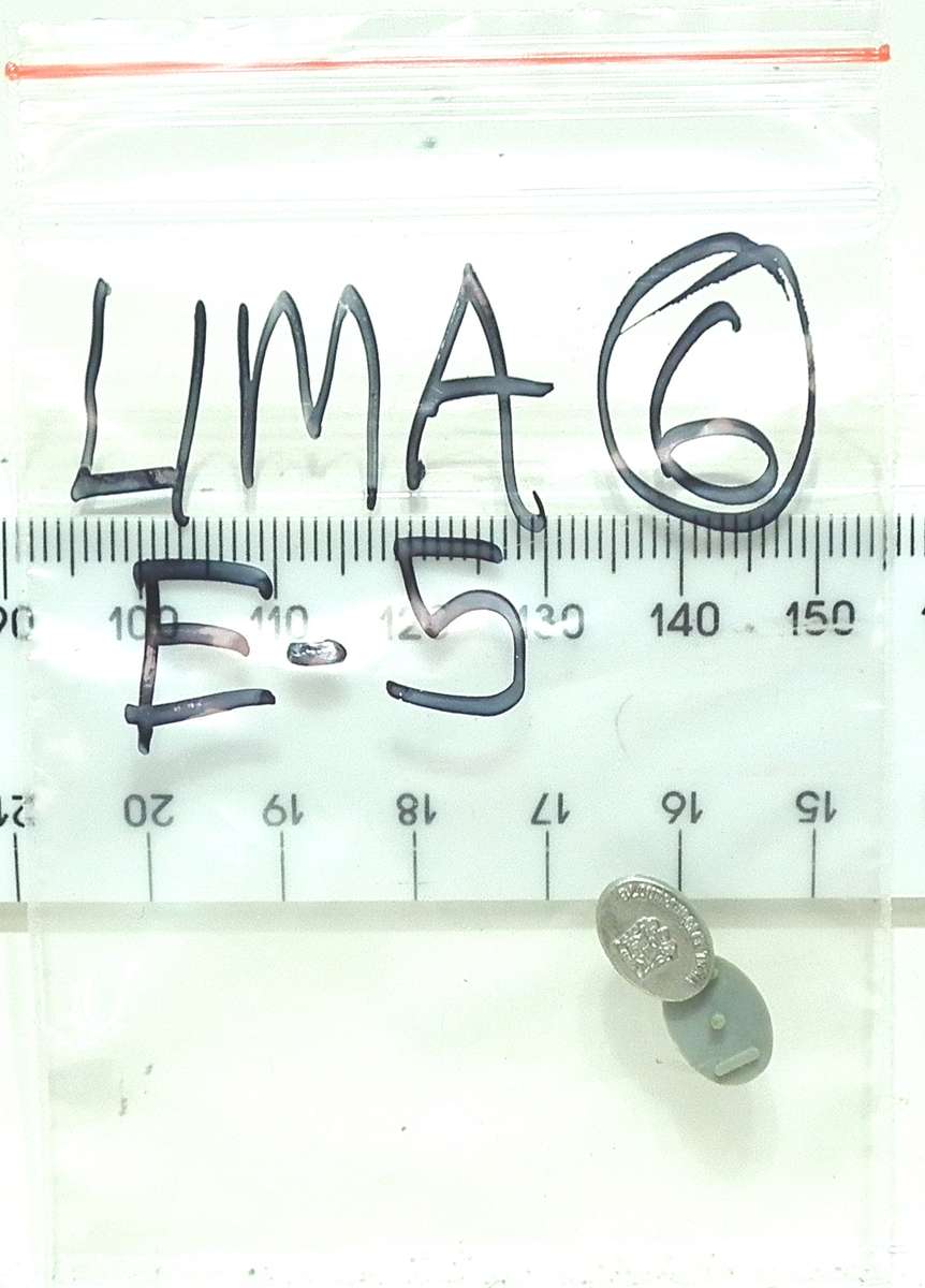 LIMA HO: 1pr SAR E5 " Blue Train" Loco Badges  in Good condition for Parts.(Italy)