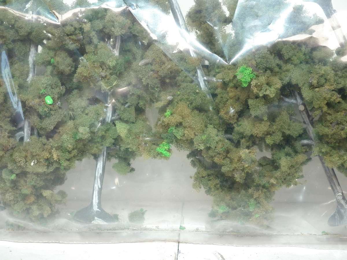 SCENERY OO/HO: 6pc Medium Eucalyptus Foam Foliage Trees in Good Packed Condition