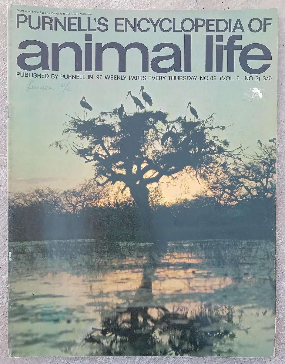 1970 Purnell's Encyclopedia Of Animal Life No82 (Vol6 No2)