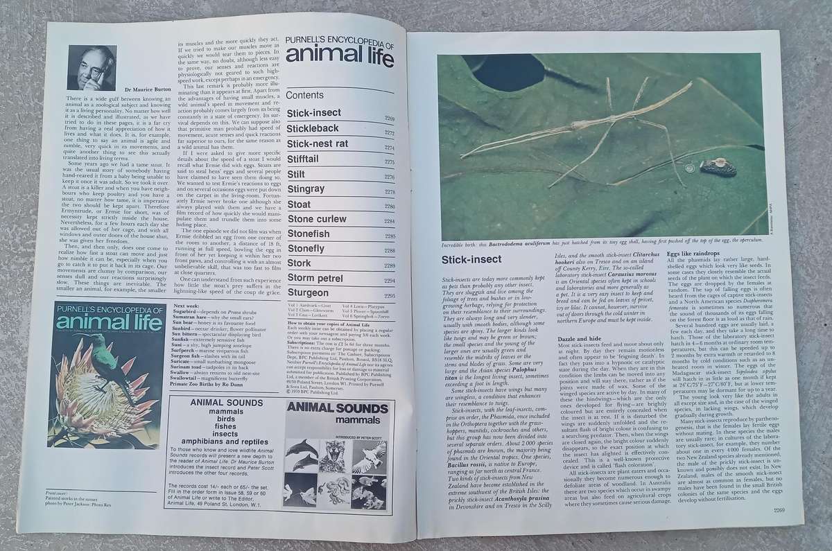 1970 Purnell's Encyclopedia Of Animal Life No82 (Vol6 No2)