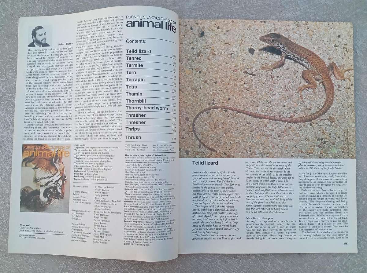 1970 Purnell's Encyclopedia Of Animal Life No86 (Vol6 No6)