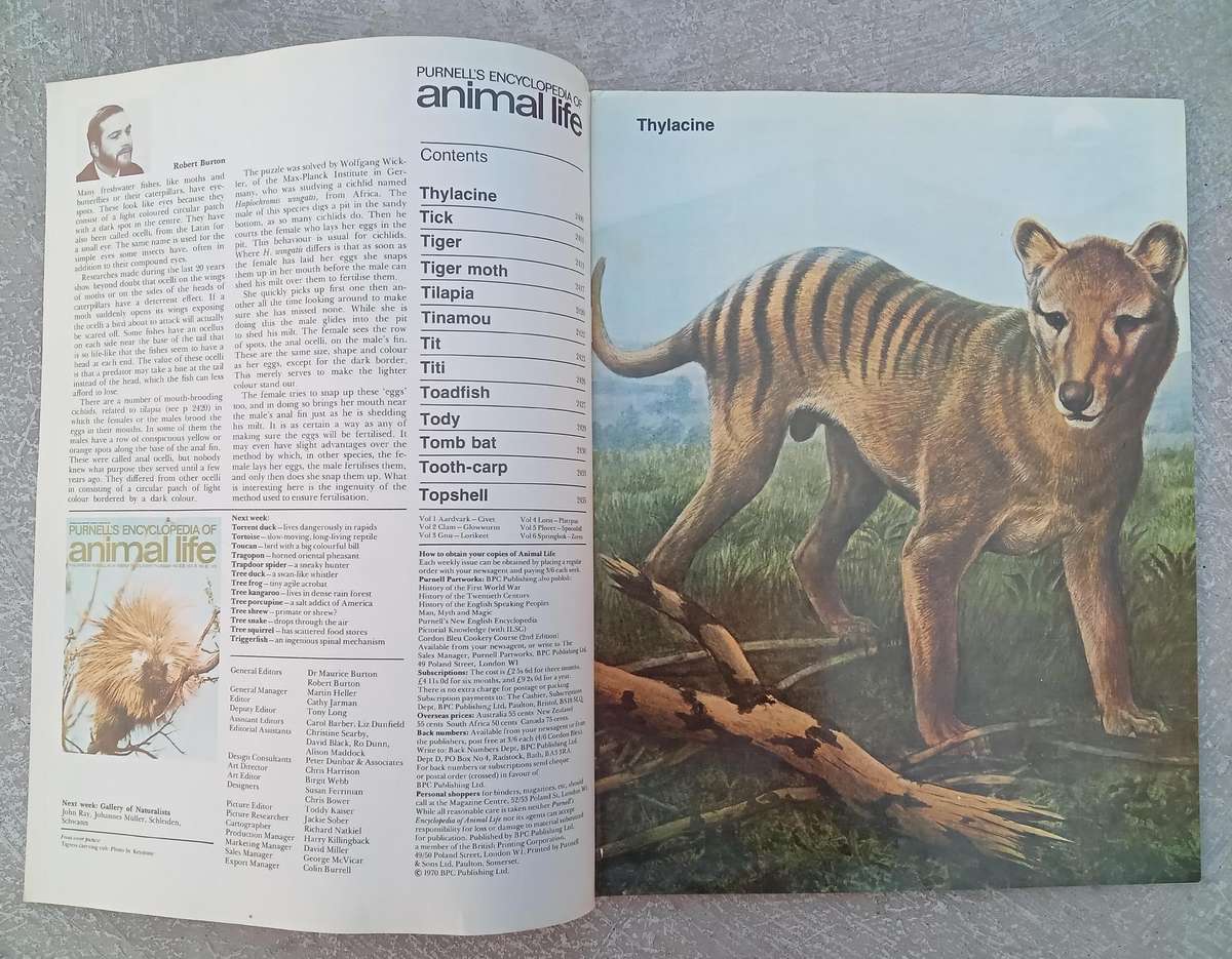1970 Purnell's Encyclopedia Of Animal Life No87 (Vol6 No7)