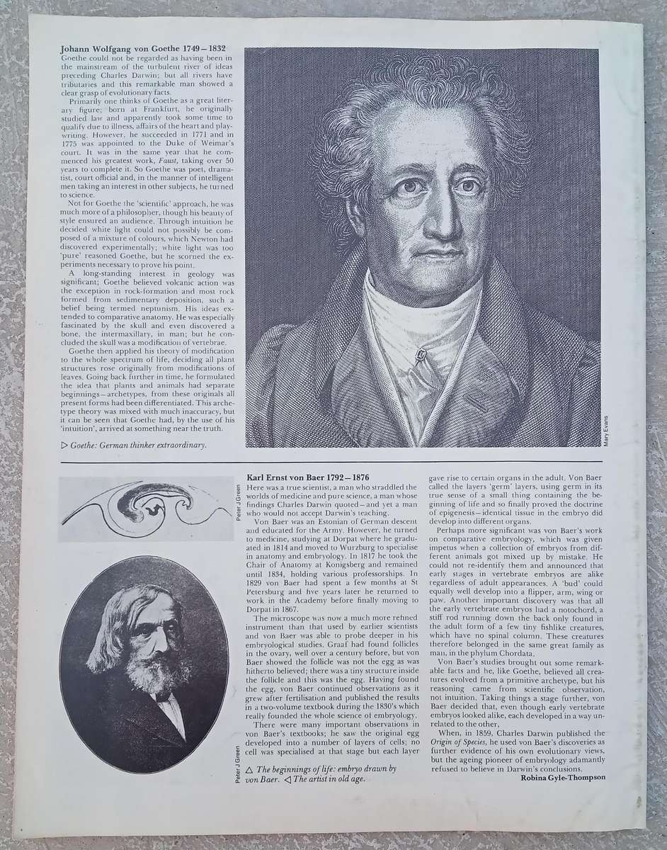 1970 Purnell's Encyclopedia Of Animal Life No87 (Vol6 No7)