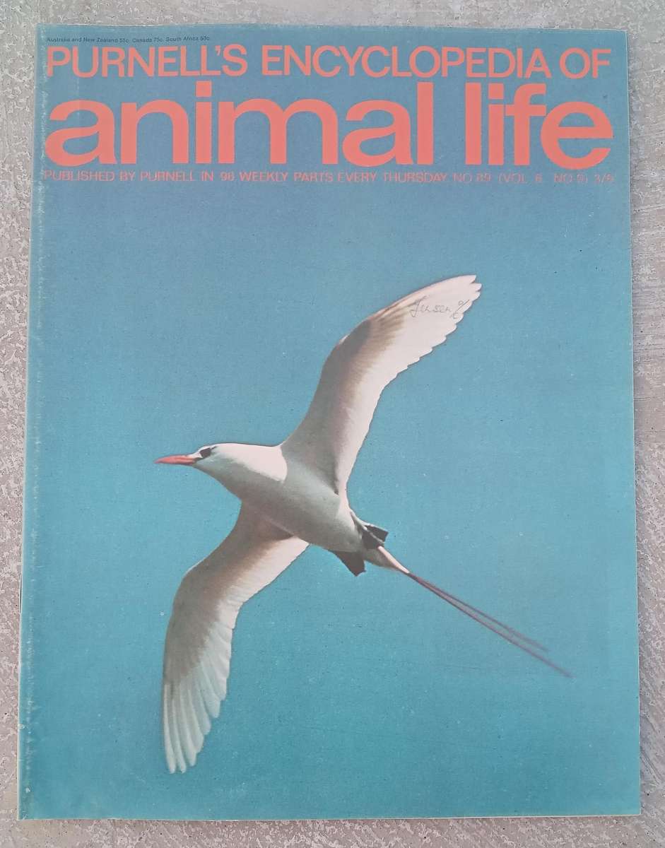 1970 Purnell's Encyclopedia Of Animal Life No89 (Vol6 No9)