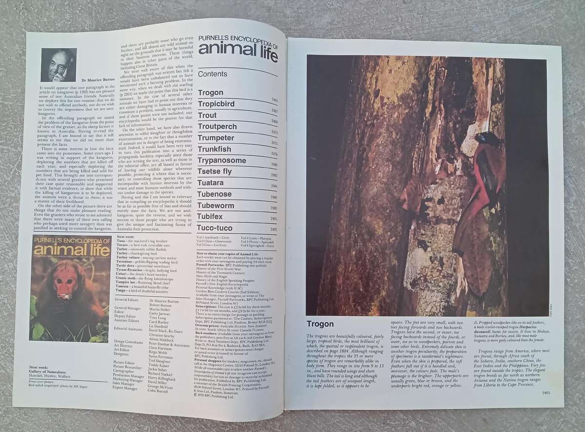 1970 Purnell's Encyclopedia Of Animal Life No89 (Vol6 No9)