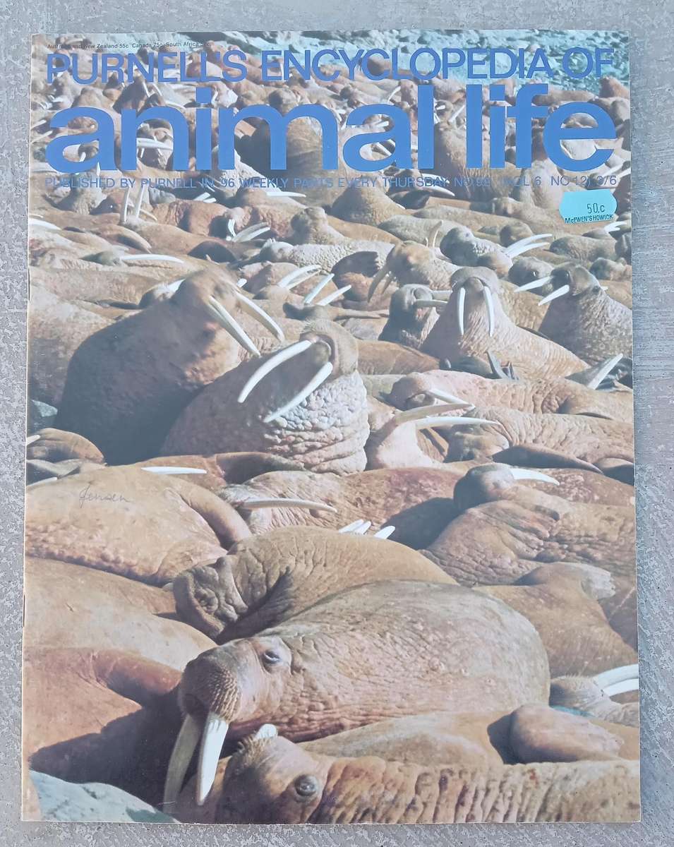 1970 Purnell's Encyclopedia Of Animal Life No92 (Vol 6 No 12)