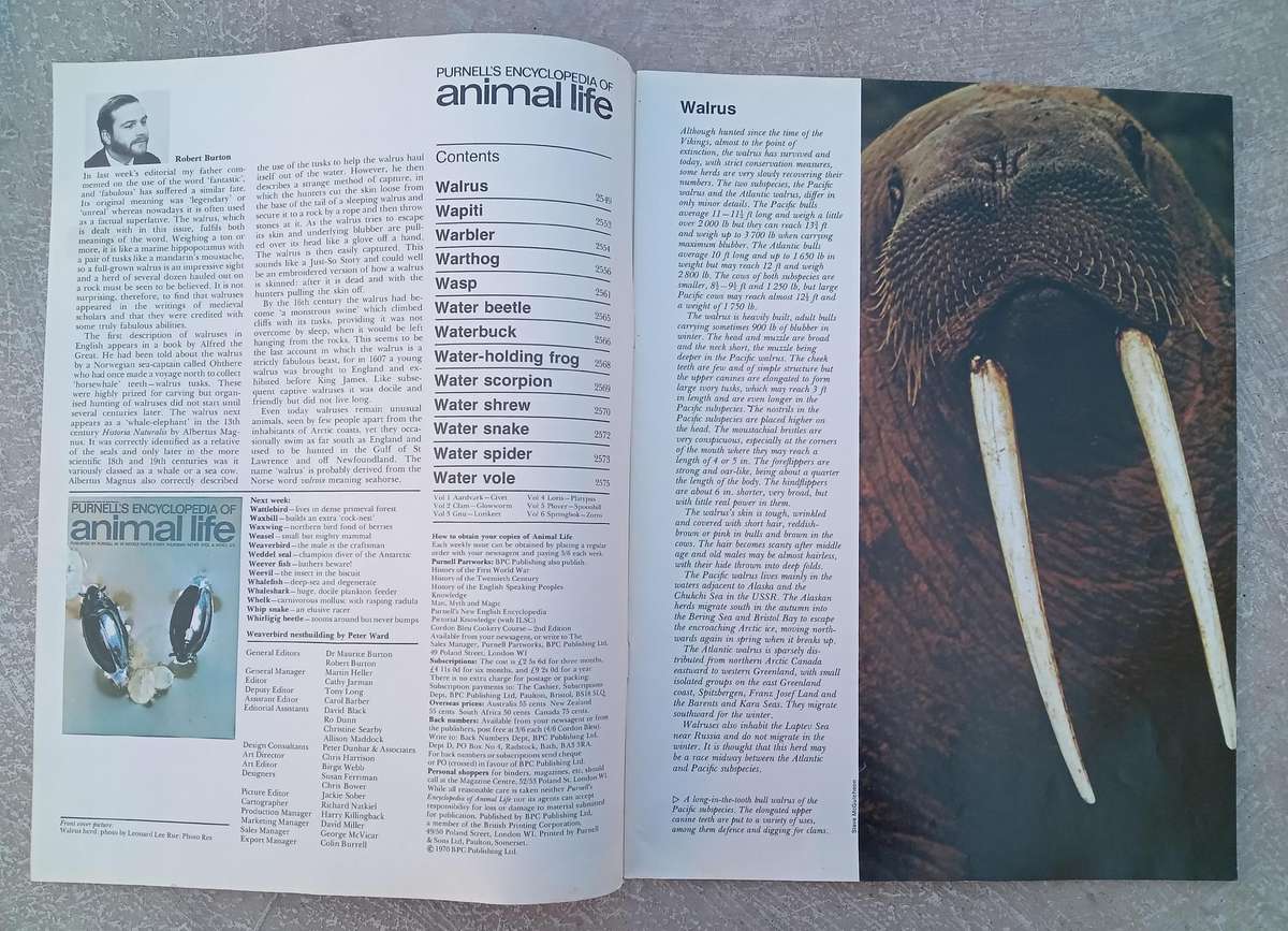1970 Purnell's Encyclopedia Of Animal Life No92 (Vol 6 No 12)