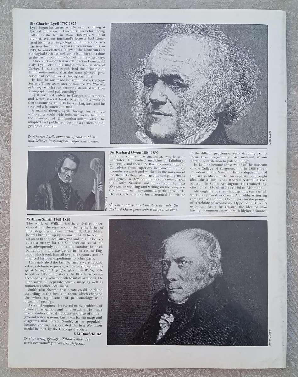 1970 Purnell's Encyclopedia Of Animal Life No92 (Vol 6 No 12)