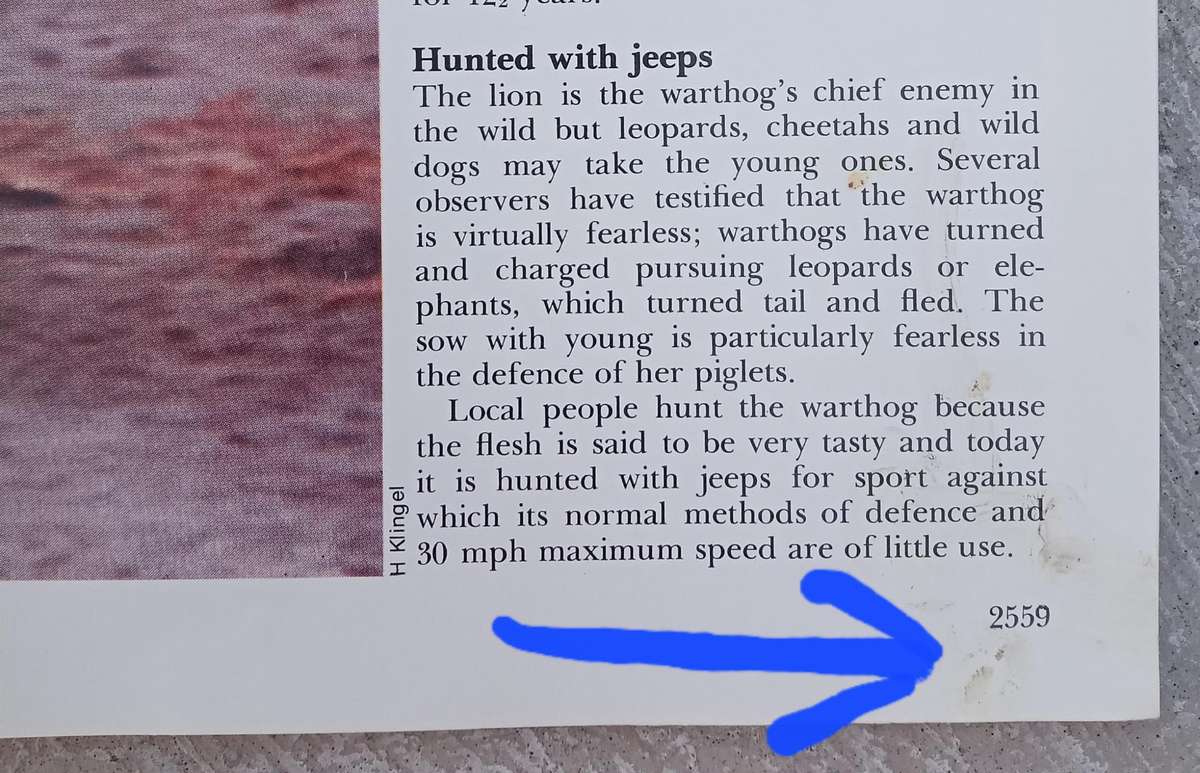 1970 Purnell's Encyclopedia Of Animal Life No92 (Vol 6 No 12)