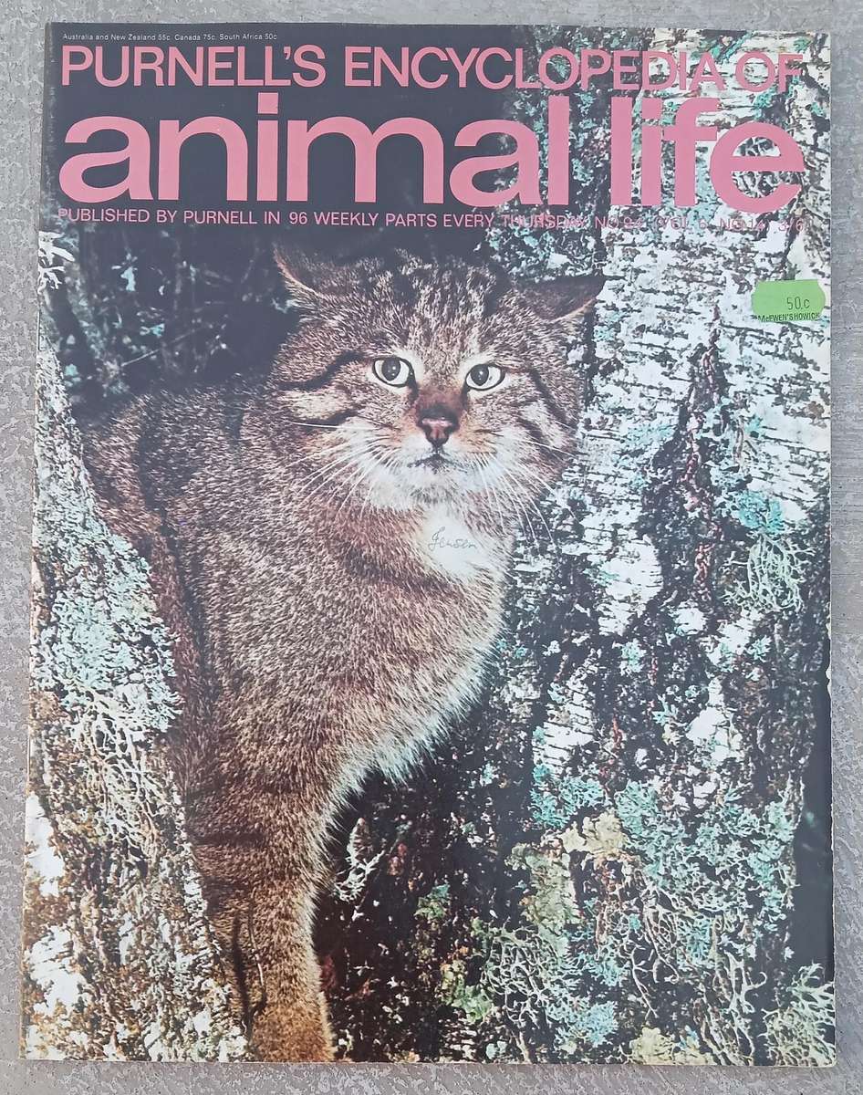 1970 Purnell's Encyclopedia Of Animal Life No 94 (Vol 6 No 14)
