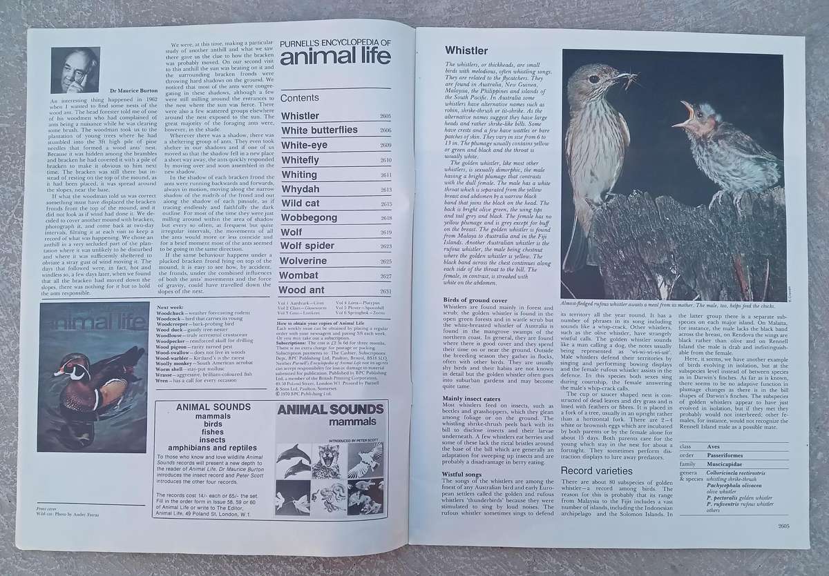 1970 Purnell's Encyclopedia Of Animal Life No 94 (Vol 6 No 14)