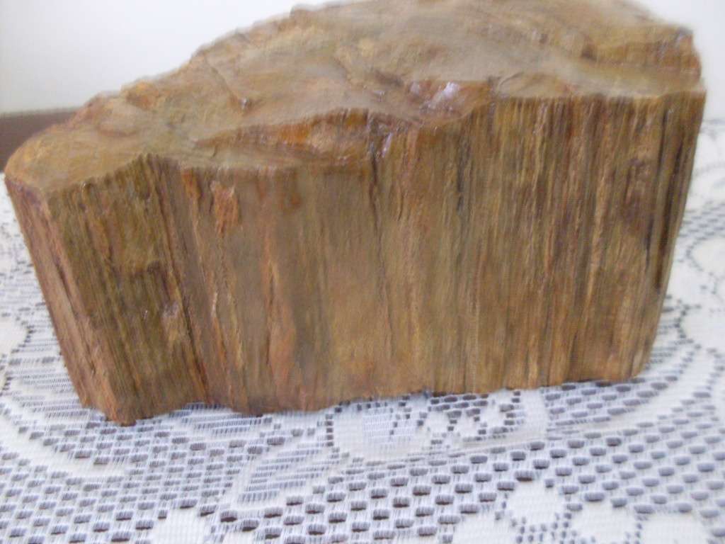 PETRIFIED ROCK/STONE/WOOD...4.5 KG...23 CM X 12 CM X 12 CM