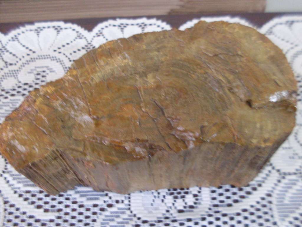 PETRIFIED ROCK/STONE/WOOD...4.5 KG...23 CM X 12 CM X 12 CM