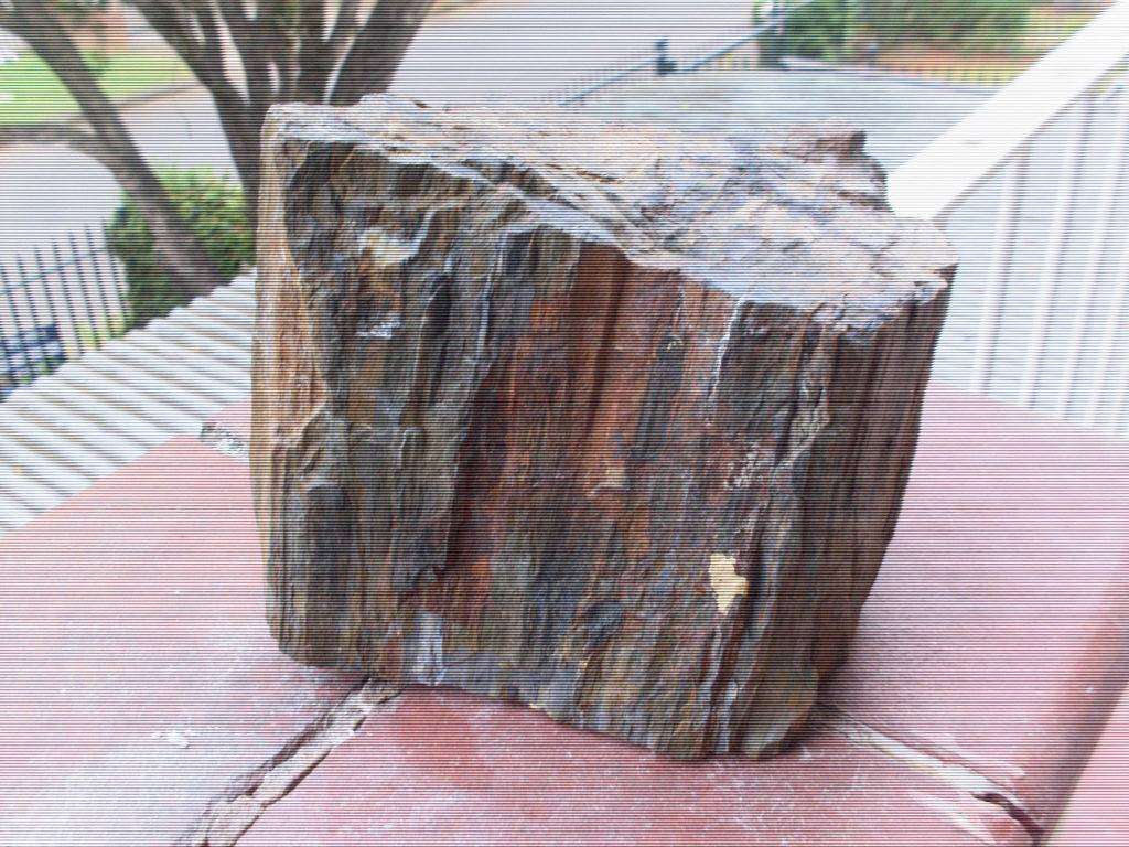 LOVELY PIECE OF PETRIFIED WOOD...2.6 KG