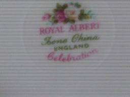ROYAL ALBERT...6 X  TEA SIDE PLATES ....CELEBRATION PATTERN