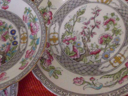 Vintage AYNSLEY Tea Set - BEAUTIFUL Tree Design - 20 Pieces